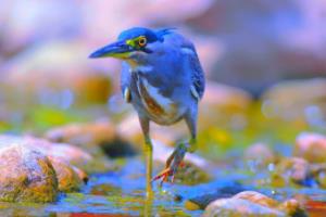 2022年卡塔尔世界杯亚洲区预选赛国足赛程安排及分析世界杯亚洲区预选赛国足最新赛程