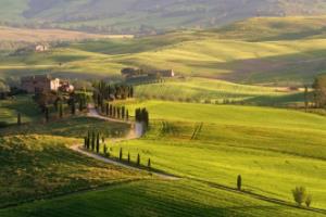 世界杯主题曲go go go,一段跨越时空的体育精神之旅世界杯主题曲go go go